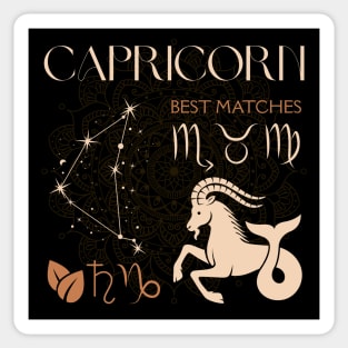 Capricorn Zodiac Sign Horoscope Celestial Art Sticker